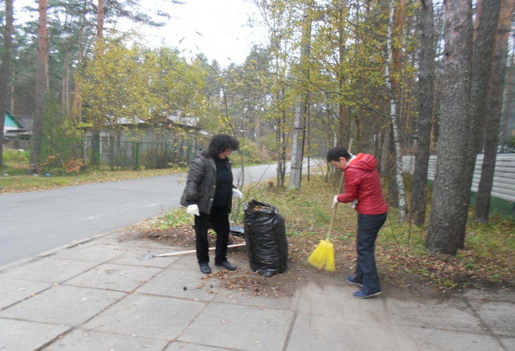 statya-pro-subbotnik__m3b834099